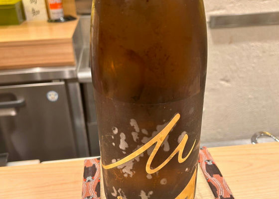 alt 1