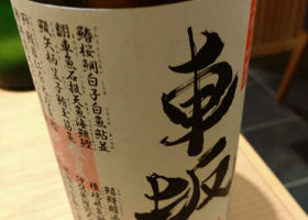 alt 1