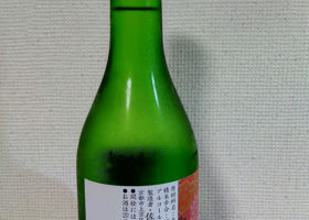 alt 2