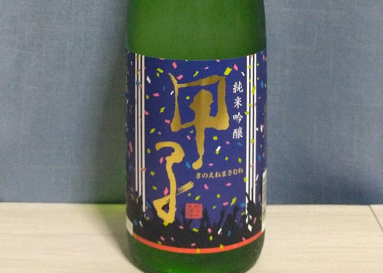 alt 1