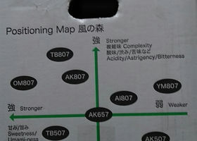 alt 4