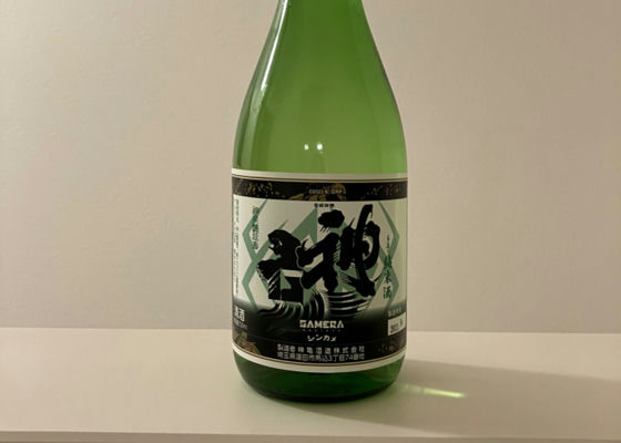 alt 1