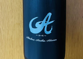 alt 1
