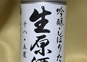 alt 1