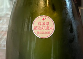 alt 3