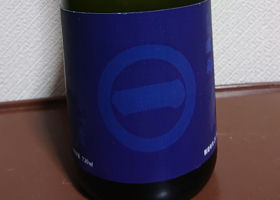 alt 1