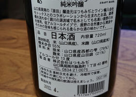 alt 3