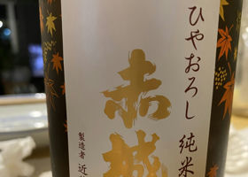 alt 1
