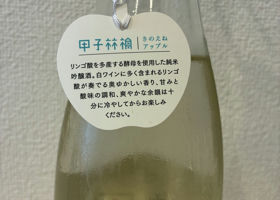 alt 1