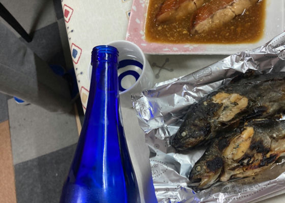 魚沼