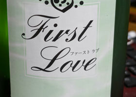 First love チェックイン 1