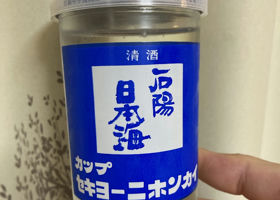 alt 1