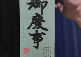 alt 3