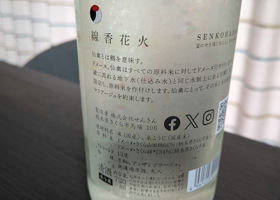 alt 3
