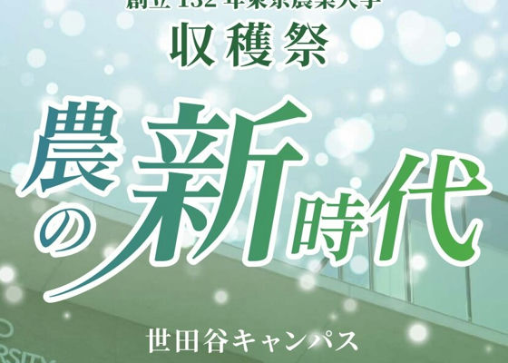 出羽桜