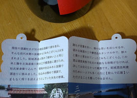 alt 3