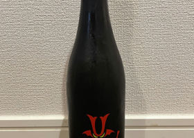 alt 1