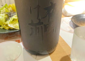 alt 1
