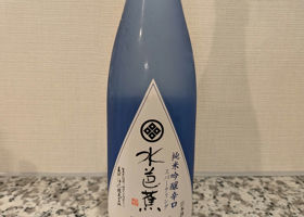 alt 1