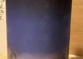 alt 1
