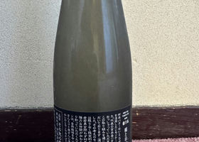 alt 3