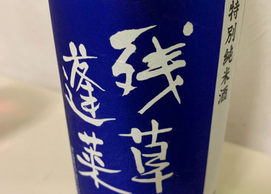 alt 1