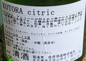 KOTORA citric チェックイン 2