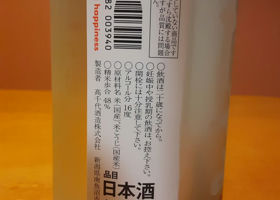 alt 3