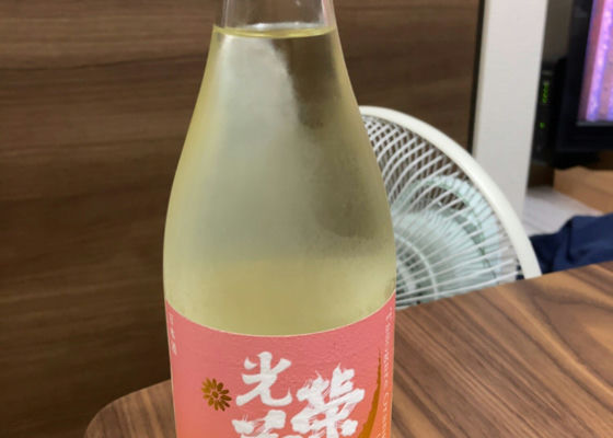 光栄菊