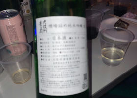 alt 3