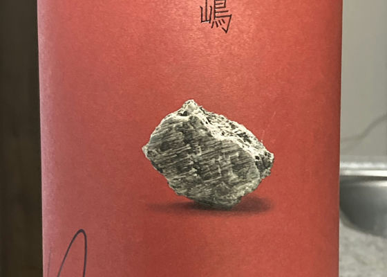 alt 1