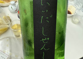 alt 1