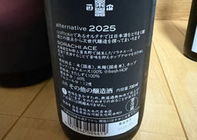alt 3