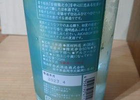 alt 3