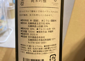 alt 3