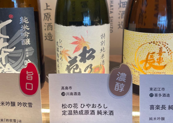松の花 チェックイン 1