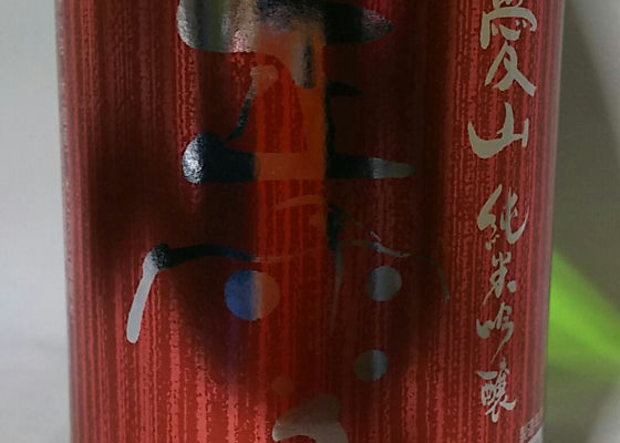 alt 1