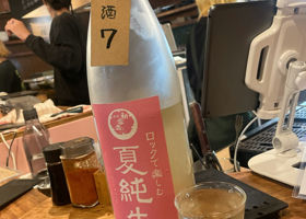 alt 1
