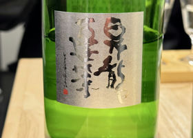 alt 3