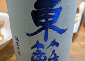 alt 1