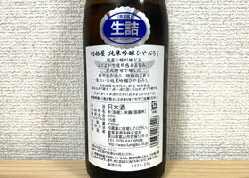 alt 2