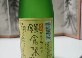 alt 3