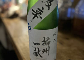 alt 1