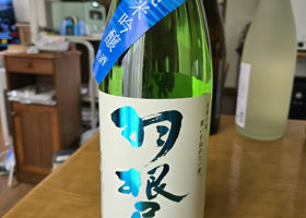alt 2