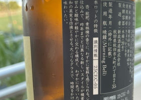 alt 3