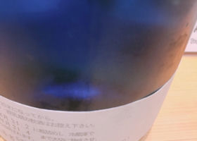 alt 1