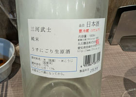 alt 1