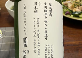 alt 2