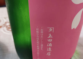 alt 3