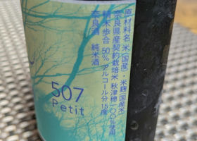 alt 4